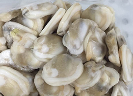 速凍雜色蛤（生食級）